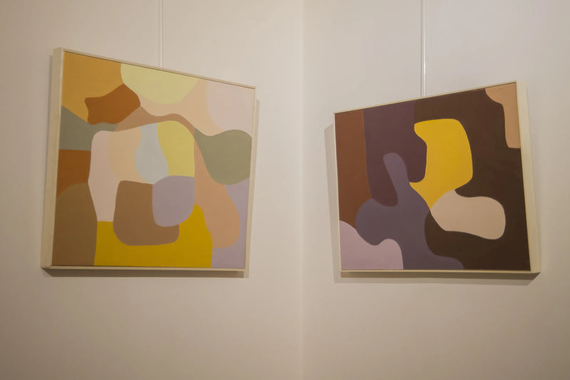 Installation views. Colores Subjetivos. Agosto 2024.  Buenos Aires